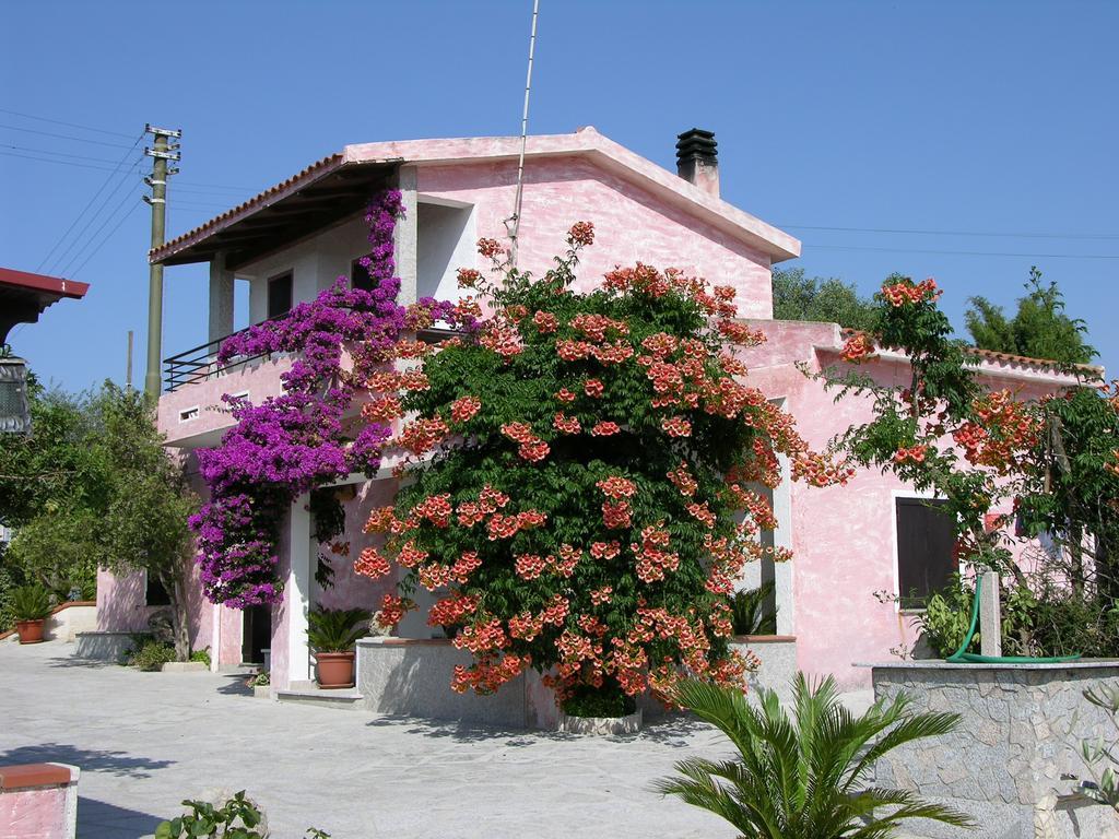 Antico Casolare Sorso-Tourist Rental Room photo