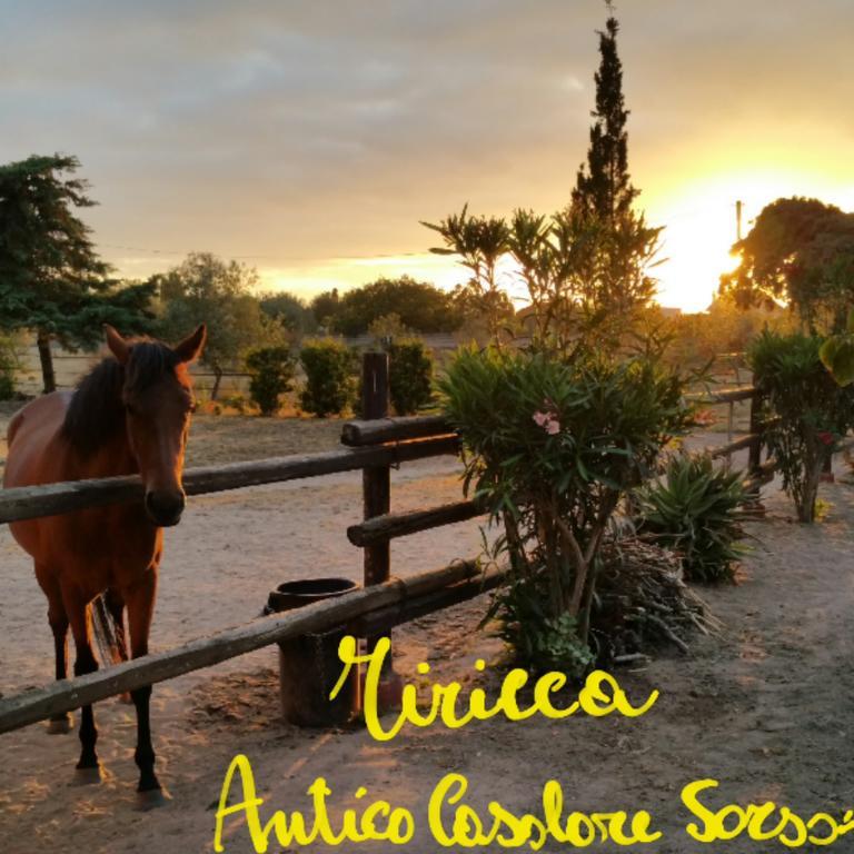 Antico Casolare Sorso-Tourist Rental Exterior photo